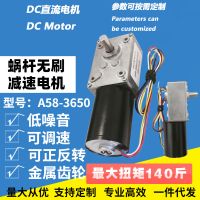 70 Kg Load Torque Brushless 1.6W 24V DC Motor A58-3650-80r Supply Wholesale Can Customize