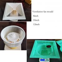 Plastic Ventilation Fan Mould