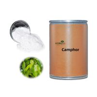 Factory Supply High quality Natural Camphor powder