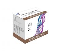 Multiple Real-Time PCR Kit for Detection of 2019-nCoV(COVID-19 RT PCR Kit)
