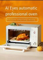 smart  protrable   oven