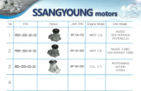 Water Pump for SSANGYONG