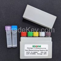 Human Y Chromosome Sex-Determining Region Kit