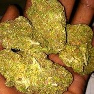 Animal Cookies ------- 21.4%  CBD 0.00%