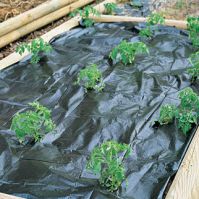 Weed Barrier Fabric Ground Cover