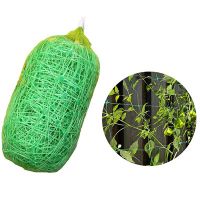 Grid climbing plant support net for bean