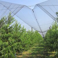 White HDPE anti hail net for orchard and vineyard