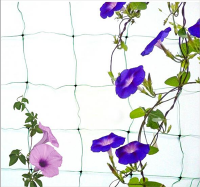 plastic climbing net flower trellis netting
