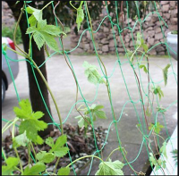 Garden Plant Vine Climbing Support  Net