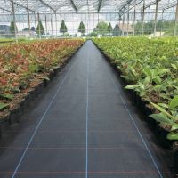 Weed Control Barrier Mat In Roll Fabric 1.83X100M