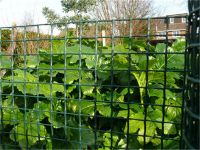 HDPE Plastic Garden Fence Barrier Netting