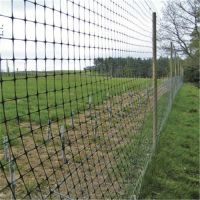 100% PP UV Agricultural Anti Bird Net