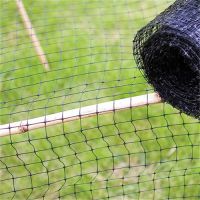 Plastic Anti Bird Netting Deer Fence
