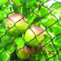 HDPE Orchard Vineyard Cherry Bird Net