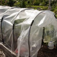 Double Layer Polyetilene Film For Greenhouses