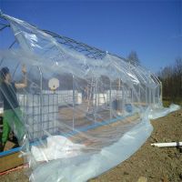 Pe Plastic Film Greenhouse For Strawberries