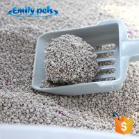 Cat Litter Bentonite Kitty Litter 10l Sands Cat Wholesale