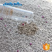 Cat Litter Bentonite Kitty Litter 10l Sands Cat Wholesale