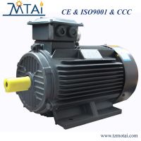 Y2/IE1/IE2/IE3/IE4 Large Power Low Voltage Cast Iron Asynchronous Motor