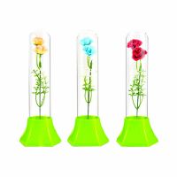 Remote Control Night Light Glass Tube Flower Table Lamp LED Soft Nightlights for Bedroom Reading Room Children Birthday Gifts