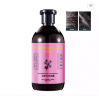 Natural Organic Clear Shampoo