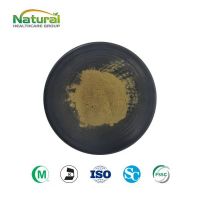 Hops Flower Extract Powder