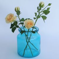  1 Pcs Glass Bud Vase For Home Decor, Small Vases For Flowers