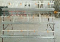 Chicken Layer Cages Battery Cages for Poultry