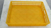 Selling Well All over the World White Yellow Color Egg Incubator Hatching Baskets