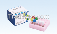 HBV&HCV Detection Kit