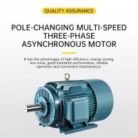 Ydt Series Pole-changing Multi-speed Three-phase Asynchronous Motors Have The Advantages Of High Efficiency, Energy Saving And Low Noise(please Contact Customer Service For Detailed Price).
