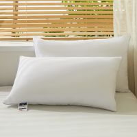 Pillow, pillow core, sleeping pillow