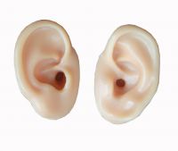 Vivid Soft  Silicone Material Demo Ear Display For Hearing Aid Instruments