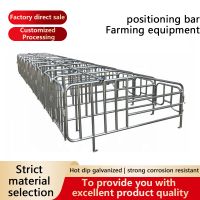 International standard pig farm sow breeding equipment fence positioni