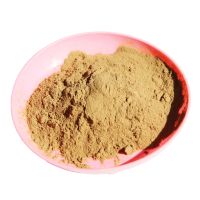 Tongkat Ali extract powder