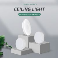 Gangtai-Zhuoerxin/250 always bright ceiling lighting/20 units/box/The price is for reference only
