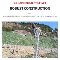 Rockfall Protection Barrier With Diamond Mesh(customized Model, Please Contact Customer Service In Advance)