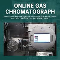 Online gas chromatograph (customized product)