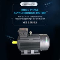 Xima the YE3 Series Is Ultra-Efficient Three-Phase Asynchronous Motor, Support Customization