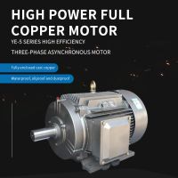 XIYMA  YE-5 series high-efficiency three-phase asynchronous motor, support customization