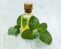 FF Essential Oil -Peppermint pure essential oil