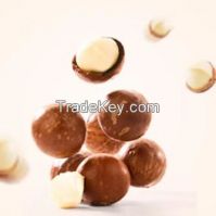 https://www.tradekey.com/product_view/Macadamia-Nut-10057832.html