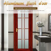 Aluminum flush door