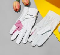 Licata) Solo Stella Sheepskin-based Golf Glove: 1 Set [2 Gloves] (for Women: Size 20)