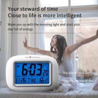 https://www.tradekey.com/product_view/-6637-electronic-Alarm-Clock-10067790.html