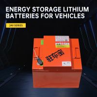 Nizong 24V Series Energy Storage Lithium Battery for Large Transport Vehicles