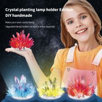 Crystal Planting lamp holder Edition DIY handmade