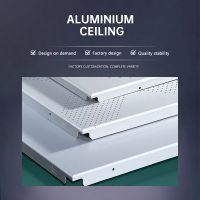Please contact the customer before ordering the customized aluminum ceiling. Do not order directly