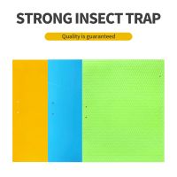 Ruijin special double-sided Sticky insect board, insect luring board, yellow, blue and green board, greenhouse, tea garden