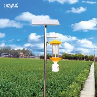Ruijinte Solar insecticidal lamp with built-in battery 100 wh agricultural insecticidal lamp orchard outdoor waterproof